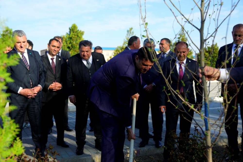 Naxçıvan Dövlət Universitetində ağacəkmə aksiyası keçirilib