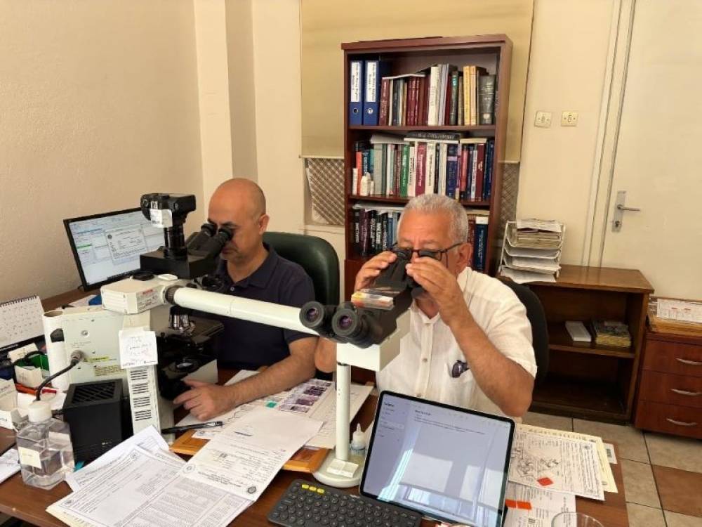 Ankara Universitetinin Tibb fakültəsində Naxçıvan Dövlət Universitetinin müəllim, həkim və tələbələrinin təcrübə proqramı davam edir