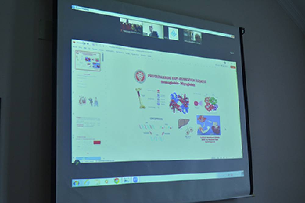 Naxçıvan Dövlət Universitetində “Proteinlərdə yapı-fonksiyon ilişkisi. Hemoglobin-miyoglobin” haqqında vebinar keçirilib.
