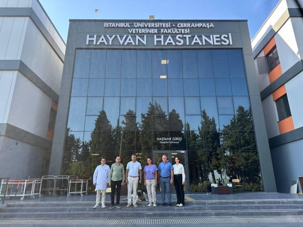 Naxçıvan Dövlət Universiteti İstanbul Universiteti - Cərrahpaşa ilə əməkdaşlığı genişləndirir
